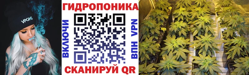 продажа наркотиков Чадан Шишки марихуана White Widow